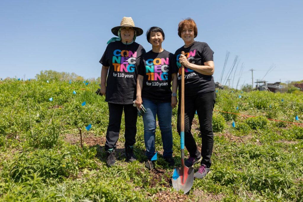 rotaty international 1