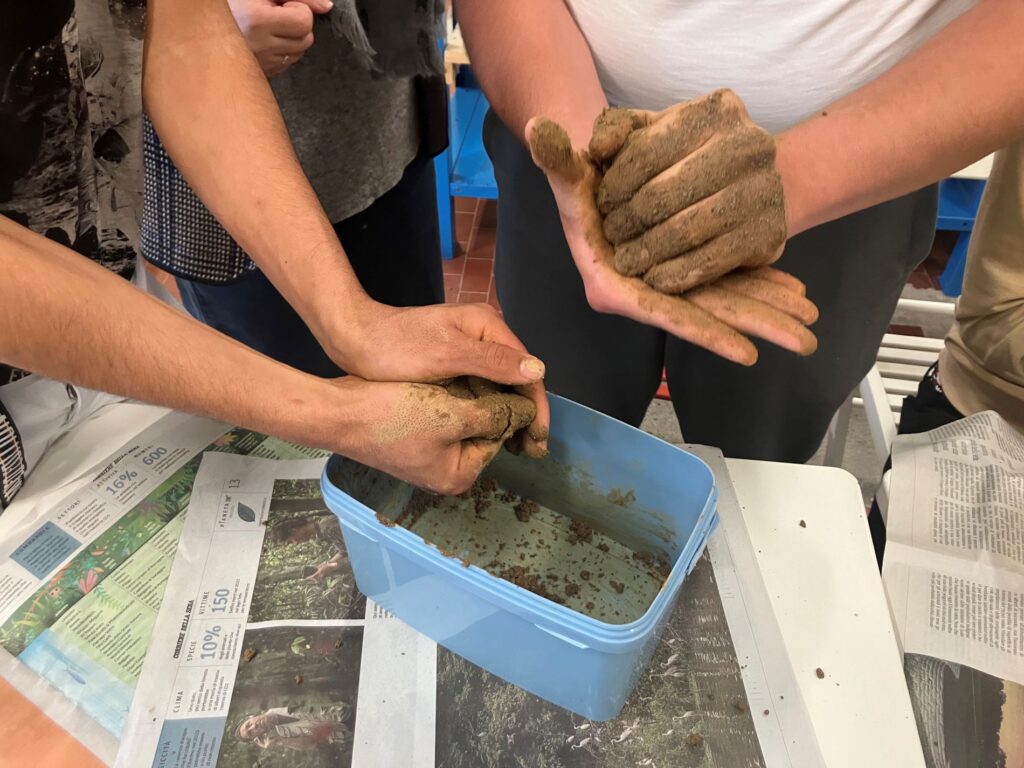 minori non accompagnati rotary